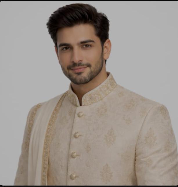 Ansar ali